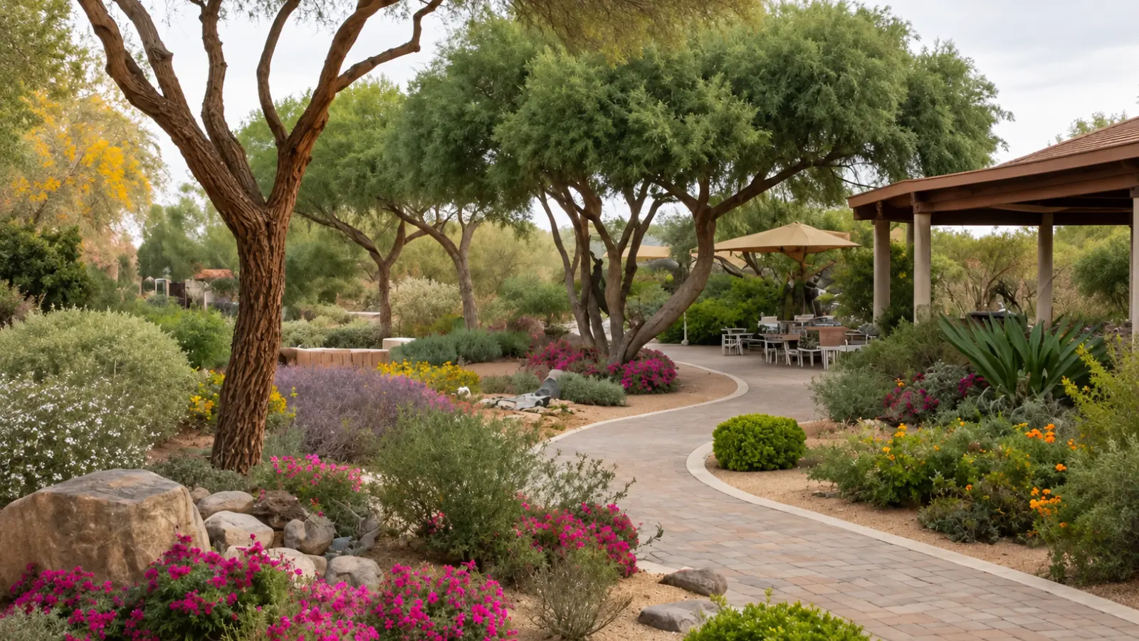 Landscaped desert garden with mature shade trees, flowering drought-tolerant shrubs, sandy planting beds, natural boulders and a curved paved walkway leading to a shaded patio
