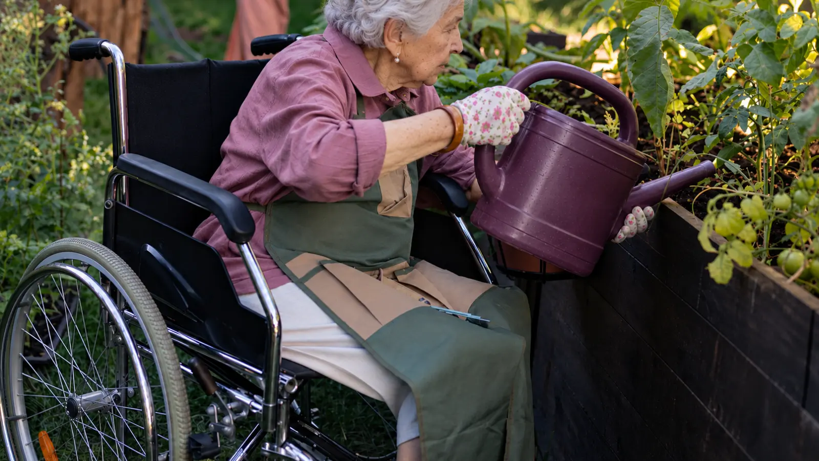 Older woman using a wheelchair watering plants in a raised garden bed positioned at an accessible height for comfortable seated gardening and hands-on interaction with plants