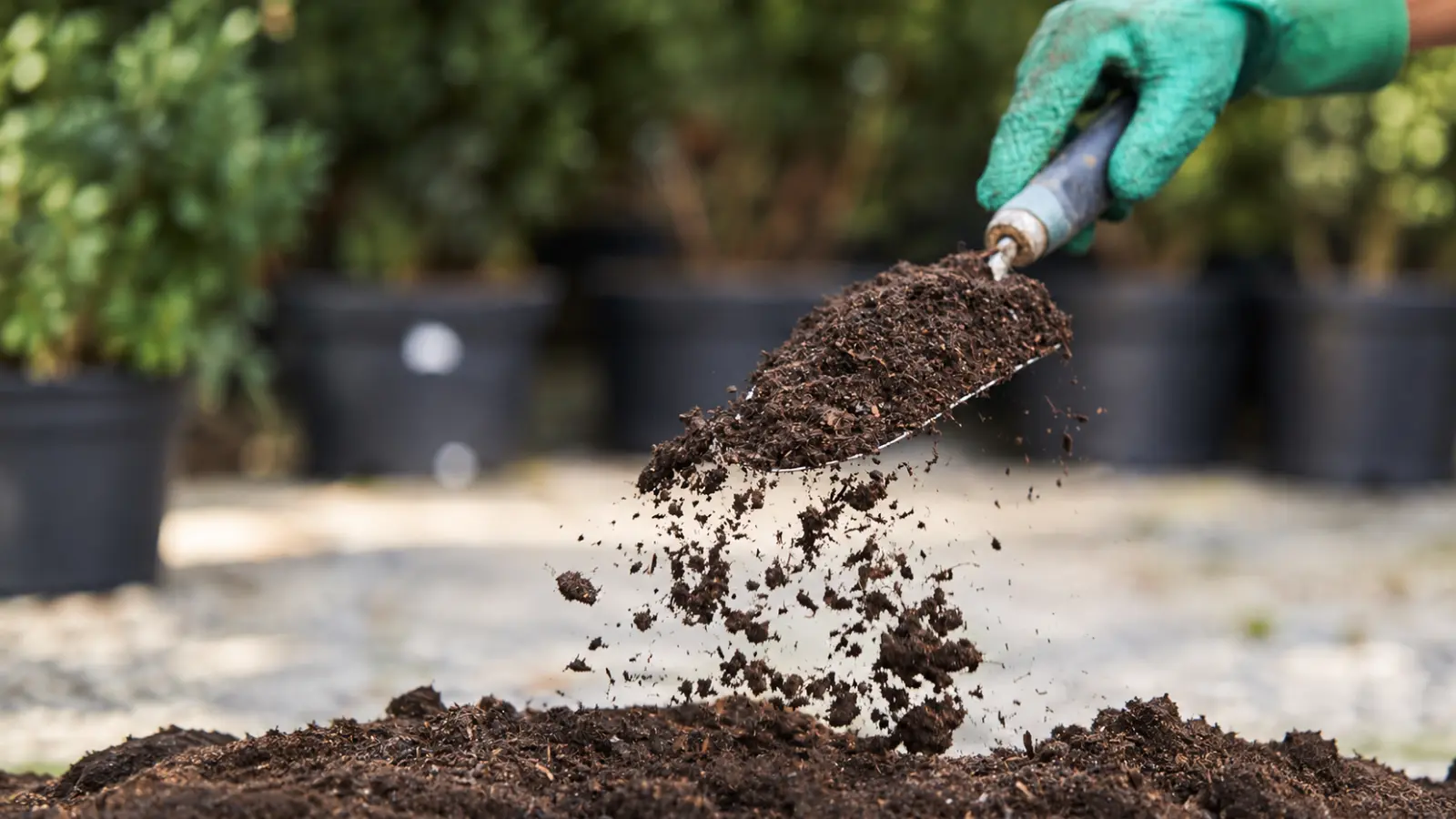 Close-up of a gardener wearing a green textured glove and holding a metal hand trowel filled with dark, fibrous organic material, with loose particles falling toward a mound of growing medium and several black nursery pots blurred in the background