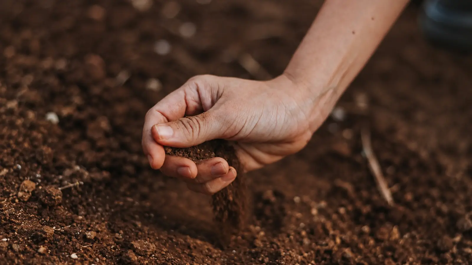 Close-up of a gardener allowing fine, loose brown soil particles to fall between their fingers onto the garden bed below, illustrating the granular texture and free-flowing characteristics commonly associated with sandy soil