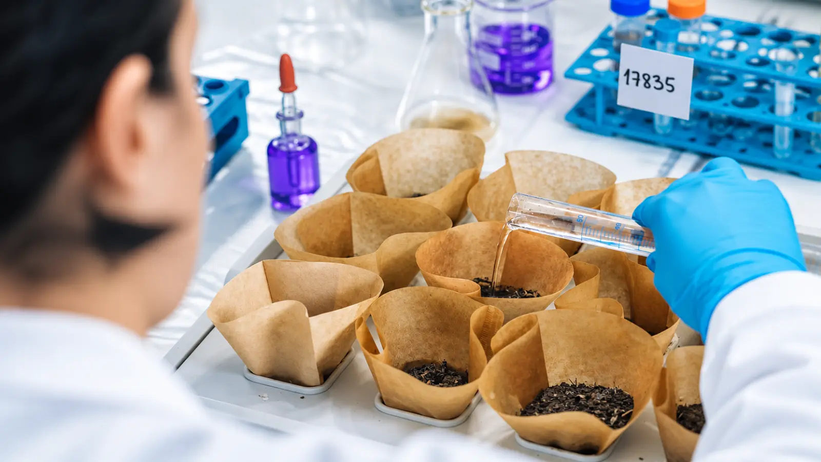 Laboratory technician wearing a blue protective glove pouring clear liquid from a graduated glass cylinder into a paper filter containing dark soil, with additional samples and laboratory equipment nearby