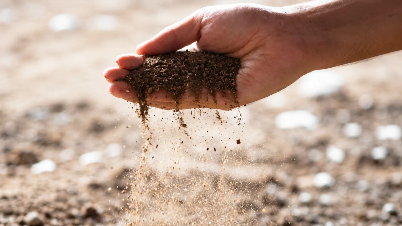 Close-up of a person's open hand releasing loose brown soil particles in a steady stream, with individual grains and small aggregates falling against a softly blurred outdoor background, illustrating a simple hands-on examination of garden soil texture