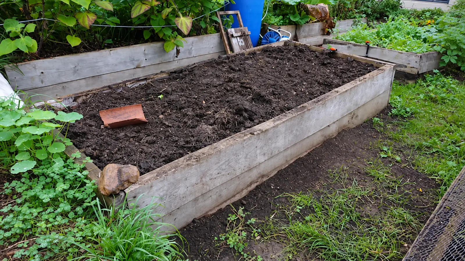 Large rectangular wooden raised garden bed filled with dark, freshly prepared growing soil, surrounded by green plants, additional garden beds and gardening equipment in an outdoor backyard setting