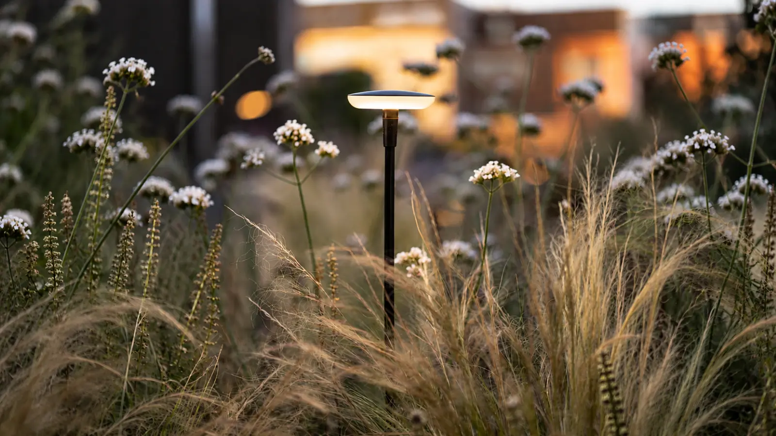 Modern moon garden at dusk with a softly glowing pathway light surrounded by white flowers, ornamental grasses and silvery foliage illuminated against the evening landscape Moon Garden: How to Design a Beautiful Garden for Nighttime