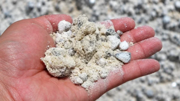 Close-up of a gardener's open hand holding pale white mineral powder and coarse granules, illustrating the appearance and texture of a gypsum-like soil amendment used in gardening Gypsum for Soil: What It Does, When to Use It and Whether It Helps Clay Soil